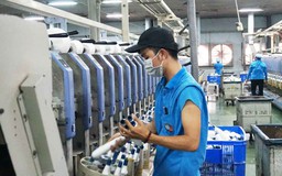 Cả nước có hơn 10.000 doanh nghiệp lớn