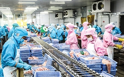 Bị đòi loại giấy 'lạ', doanh nghiệp thiệt hại lớn