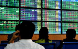 Sá gì chuyện lỗ! 