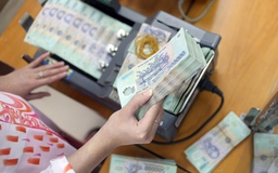 Nghị định 20: 'Điểm trúng huyệt' chuyển giá, doanh nghiệp nội thiệt nặng