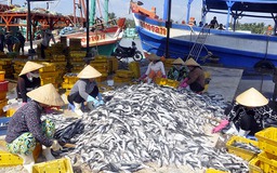 Nâng cao chất lượng văn bản - yêu cầu của cuộc sống