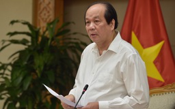 Tổ công tác của Thủ tướng: Doanh nghiệp vẫn kêu ‘khổ nạn’ thủ tục