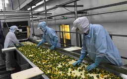 TP. Cần Thơ: dư nợ tín dụng cho nông nghiệp, nông thôn đạt 28.720 tỷ đồng