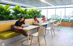 Nestlé Việt Nam tái định vị Thương hiệu nhà tuyển dụng để thu hút tài năng trẻ