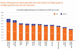 Nhiều nơi cải cách thực chất, nhưng có nơi làm đối phó