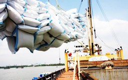 Thêm 47 thương nhân đủ điều kiện xuất khẩu gạo