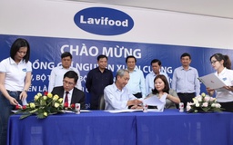 Lavifood và khát vọng cường quốc chế biến rau củ quả