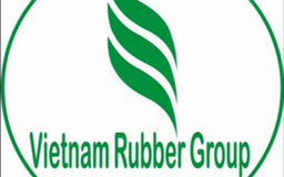 Xây dựng Đề án tái cơ cấu toàn diện VRG sau cổ phần hóa