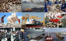 Chính phủ ban hành Nghị quyết 19 mới