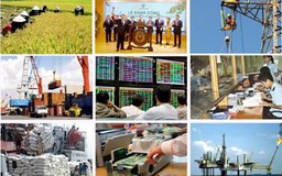 Thêm "tâm thư" của doanh nghiệp gửi Chính phủ