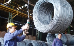Kiểm tra thép nhập khẩu, DN đang chịu thủ tục kép