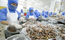 Đơn giản hóa nhiều thủ tục nhập khẩu thủy sản