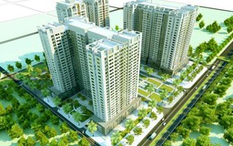 Điều kiện doanh nghiệp được quản lý vận hành chung cư