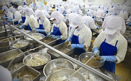 Nhập khẩu thủy sản yêu cầu C/O gốc, có bất hợp lý?