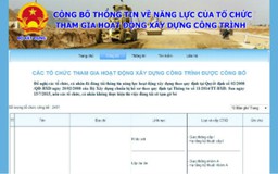 Chi nhánh có phải đăng tải thông tin năng lực xây dựng?