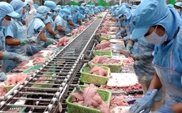 Phản hồi kiến nghị của VASEP về xử lý nước thải nhà máy thủy sản