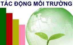 Dự án xây chợ có phải đánh giá tác động môi trường?