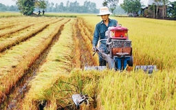Nông dân vay mua máy nông nghiệp đang bị làm khó?