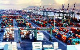 Điều chỉnh chính sách xuất nhập khẩu bảo vệ lợi ích doanh nghiệp