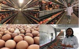 Agribank Lâm Đồng: Tập trung nguồn vốn cho nông nghiệp công nghệ cao