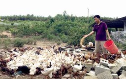 Agribank phát huy hiệu quả “kênh dẫn vốn” thông qua tổ, nhóm