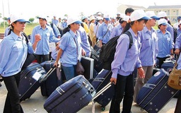 Điều kiện cung cấp dịch vụ đưa lao động đi làm việc ở nước ngoài