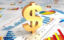 Doanh nghiệp có được mua bảo hiểm bằng ngoại tệ?