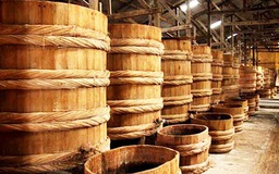 Vinastas xin lỗi vì đồng nhất arsen với thạch tín
