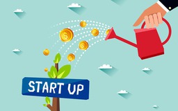 Ra mắt mạng lưới hỗ trợ phụ nữ khởi nghiệp, kinh doanh