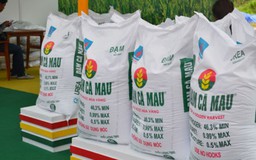Đạm Cà Mau hoàn thành 83% kế hoạch lợi nhuận năm