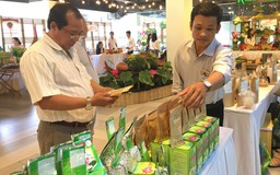 DN Đồng Tháp xúc tiến kết nối tiêu thụ hàng đặc sản tại TPHCM