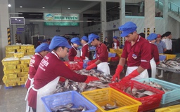 Ký kết phối hợp sản xuất, tiêu thụ nông sản, thủy sản an toàn
