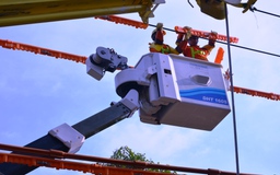 Điện lực miền Nam: Bảo đảm cấp điện an toàn dịp lễ, Tết 2018