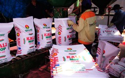 Đạm Cà Mau đạt 64% kế hoạch lợi nhuận năm 2018