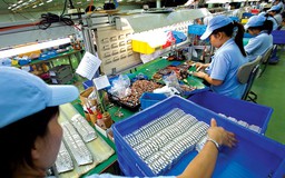Vững chân trong chuỗi giá trị, DN Việt cần gì?