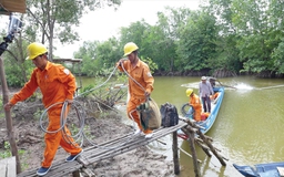 EVN SPC: Nỗ lực trong xây dựng nông thôn mới