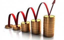 DN lọt Tốp Profit500 chia sẻ ‘bí kíp’ tối đa hóa lợi nhuận