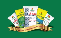 Đạm Cà Mau vượt chỉ tiêu sản xuất kinh doanh năm 2018