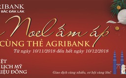 Đi Mỹ đón Giáng Sinh cùng thẻ Agribank