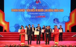 Đạm Cà Mau năm thứ 3 liên tiếp là 'Doanh nghiệp tiêu biểu vì người lao động'