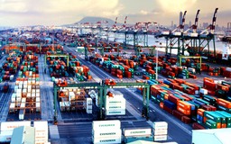 DN trong nước tăng trưởng xuất khẩu tích cực trong năm 2018
