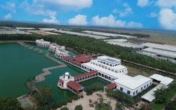 ‘Resort’ Bò sữa Tây Ninh: Trang trại bò sữa độc lập lớn nhất Việt Nam