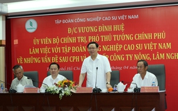 Tập đoàn Công nghiệp Cao su Việt Nam phải hướng tới quy mô 10 tỷ USD