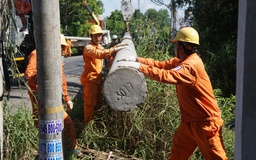 Điện lực miền Nam diễn tập ứng phó sự cố lưới điện do mưa bão 