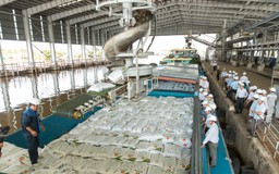 Đạm Cà Mau đạt mốc 7 triệu tấn sản phẩm