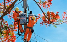 Ngành điện TPHCM đẩy nhanh tiến độ ngầm hóa lưới điện