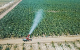 HAGL Agrico tiếp tục đầu tư 1.900 tỷ đồng để tái cấu trúc