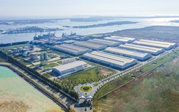 Dịch vụ logistics trọn gói của THILOGI giúp DN tăng tính cạnh tranh