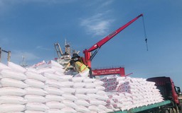 Đạm Cà Mau nhập 15.000 tấn phân bón Kali Israel