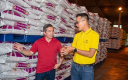 Phân bón Cà Mau dừng máy để bảo dưỡng tổng thể